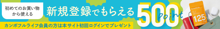 新規ご登録500ポイントプレゼント