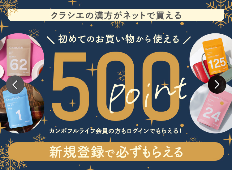 新規ご登録500ポイントプレゼント