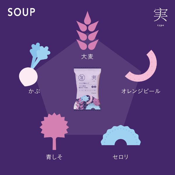 クラシエ Fun to me マイメンテ養生スープ 実type