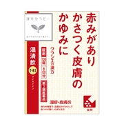 温清飲（漢方セラピー）