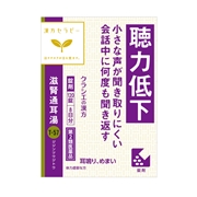 滋腎通耳湯（漢方セラピー）