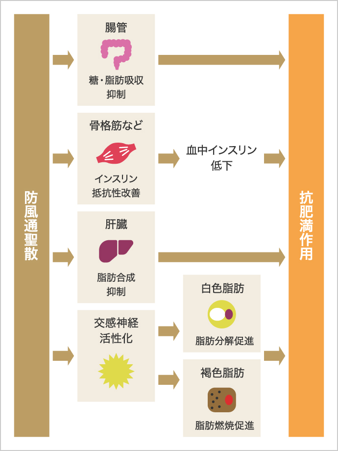 図B