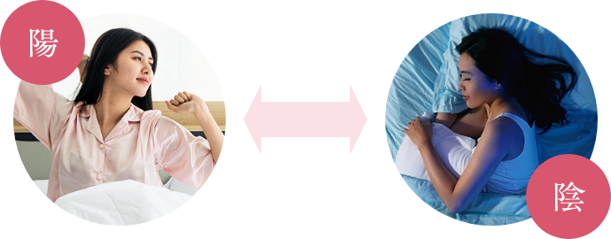 「陰と陽」をバランスよく保つ図