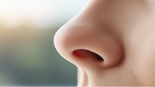 女性の鼻の画像