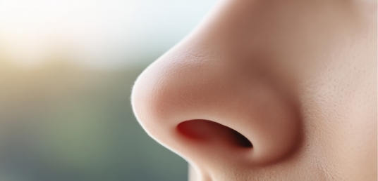 女性の鼻の画像