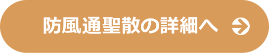 防風通聖散の詳細へ