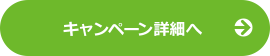 新商品発売記念キャンペーン
