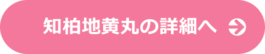 知柏地黄丸の詳細へ