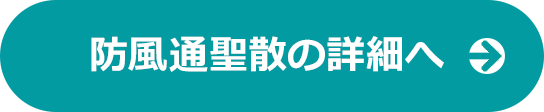 防風通聖散の詳細へ