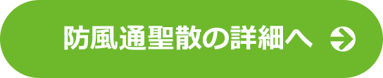 防風通聖散の詳細へ
