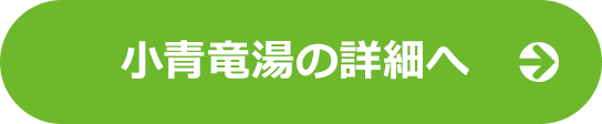 小青竜湯の詳細へ