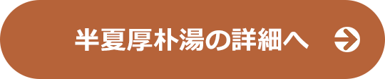 半夏厚朴湯の詳細へ