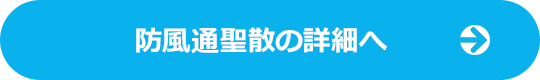 防風通聖散の詳細へ