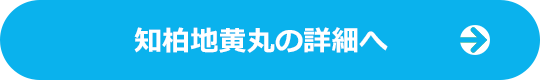 知柏地黄丸の詳細へ