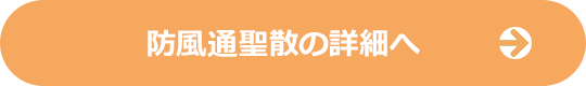 防風通聖散の詳細へ