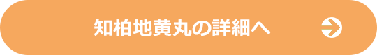 知柏地黄丸の詳細へ