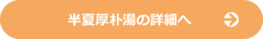 半夏厚朴湯の詳細へ