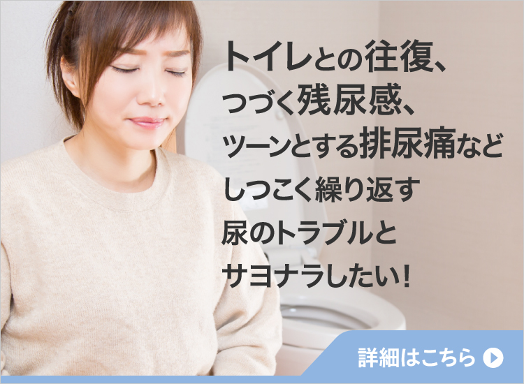 猪苓湯の詳細へ