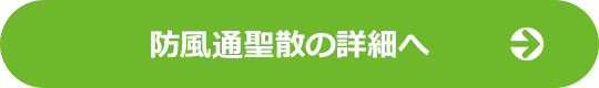 防風通聖散の詳細へ