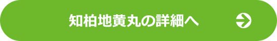 知柏地黄丸の詳細へ