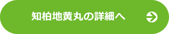 知柏地黄丸　ホットフラッシュなど顔の強いほてりを改善するの詳細へ