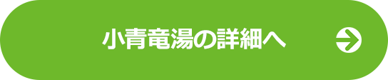 小青竜湯LPの詳細へ