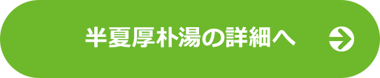 半夏厚朴湯LPの詳細へ