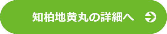 知柏地黄丸LPの詳細へ