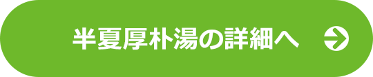 半夏厚朴湯LPの詳細へ